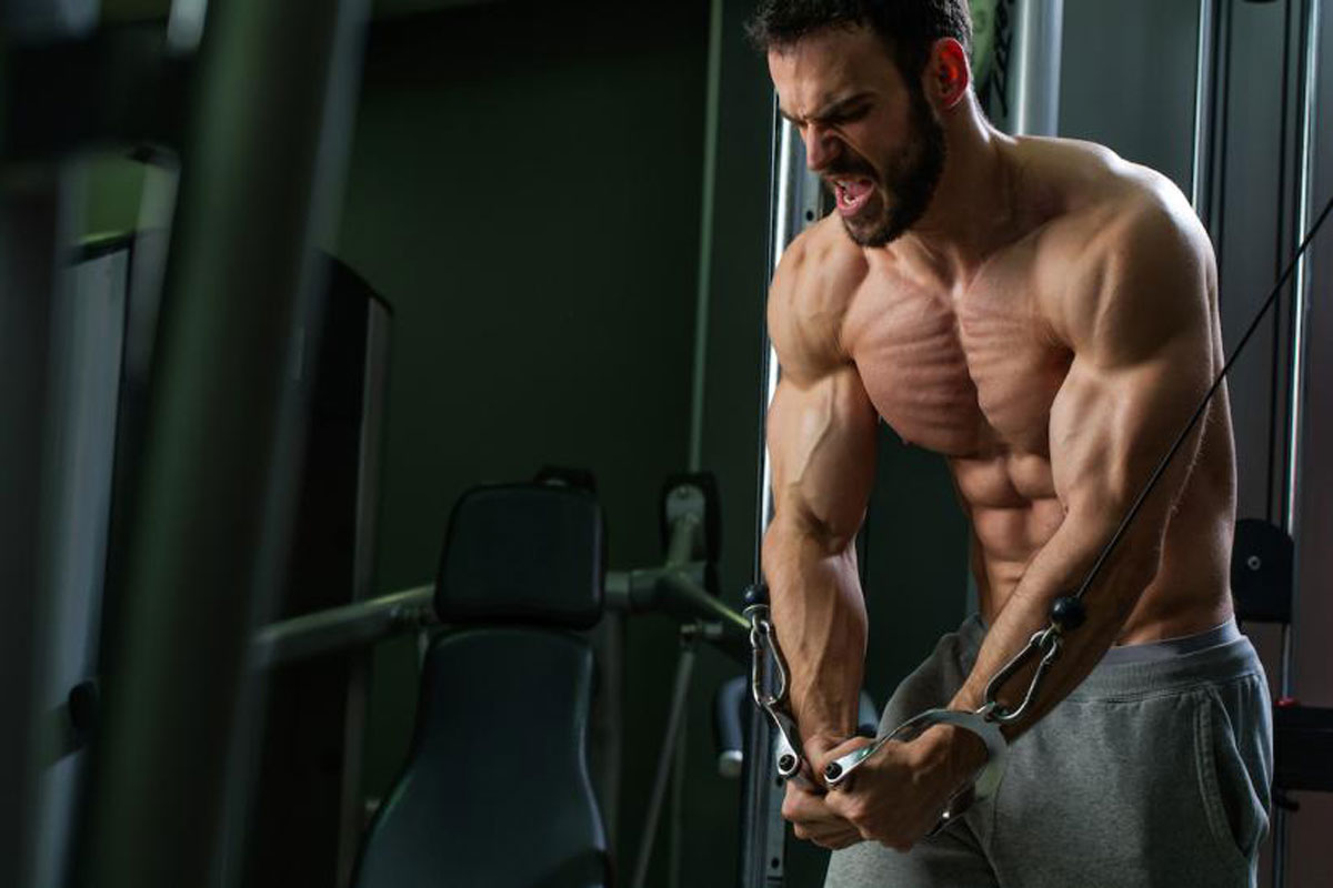 Effets positifs de l'utilisation de stéroïdes anabolisants en musculation